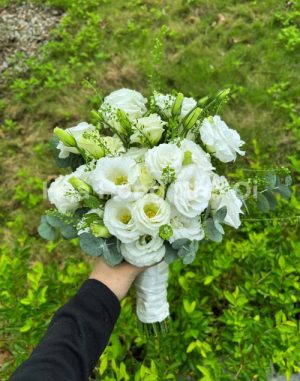 Khởi Đầu Hạnh Phúc