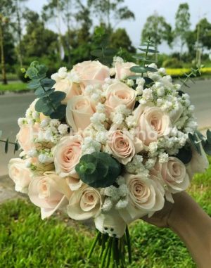 Sắc Hoa Tình Yêu