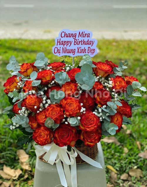 Ngày Vui Tỏa Sáng