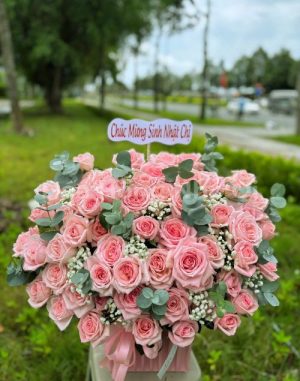 Chúc Mừng Tuổi Mới