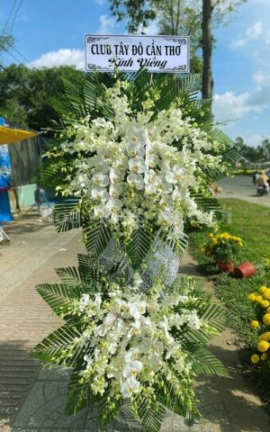 Tưởng Niệm Người Ra Đi