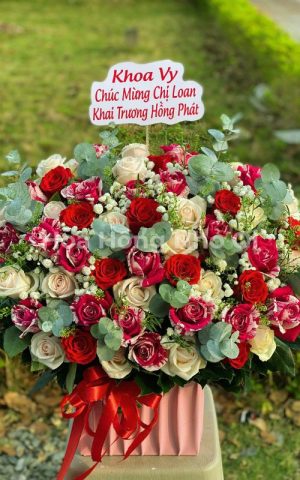 May Mắn Thành Công