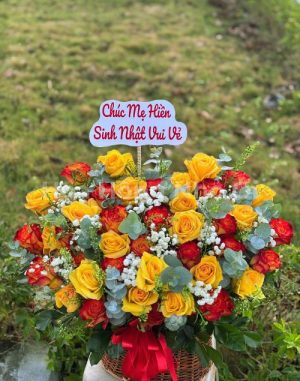 Sắc Hoa Rạng Ngời