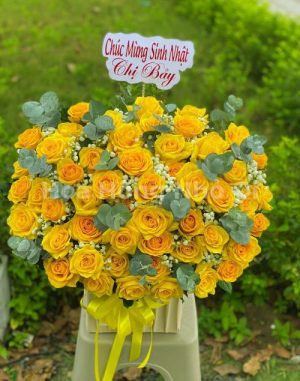 Nắng Mai Rạng Rỡ