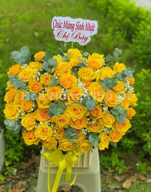 Nắng Mai Rạng Rỡ