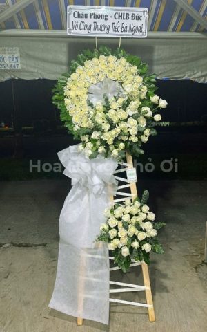 Thương Tiếc Vô Hạn