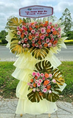 Hồng Phúc An Khang